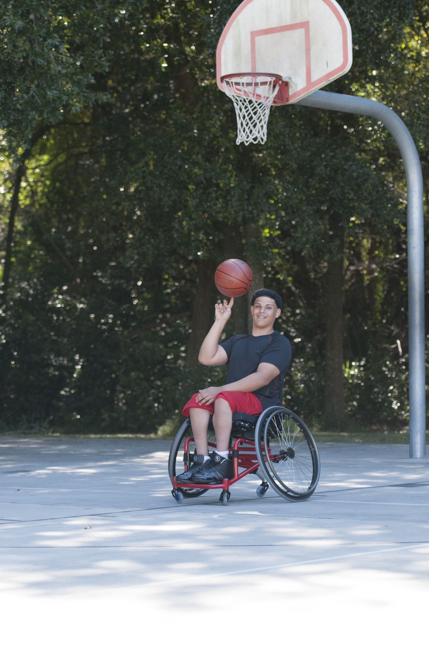 Umarmung Löwe Isolieren Wheelchair Basketball Rules Menschliche Rasse